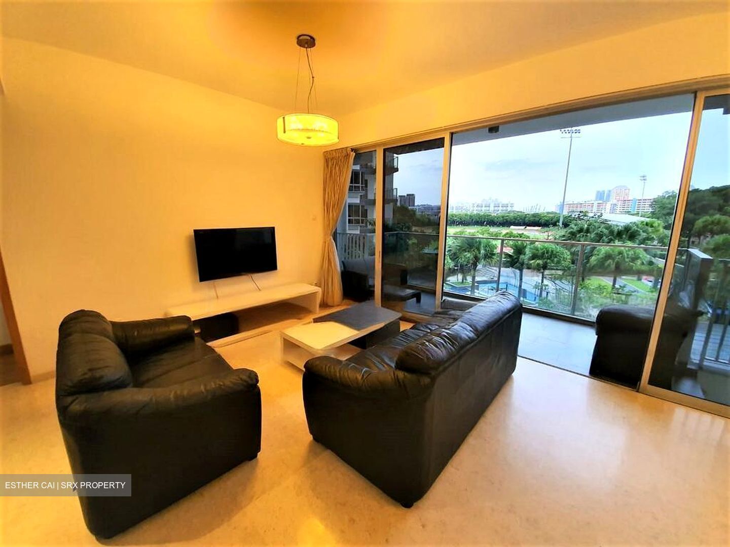 The Parc Condominium (D5), Condominium #464382911